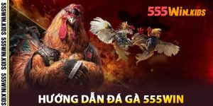 Hướng Dẫn Đá Gà 555win